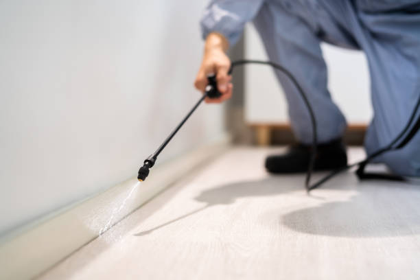 Licensed Termite Control service in Tustin, CA - Nex Pest Control