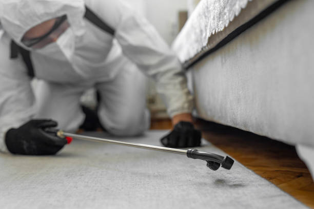 Professional Termite Control technician working in Tustin, CA