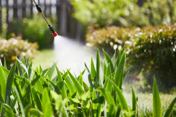 24/7 Emergency Termite Control experts in Tustin, CA