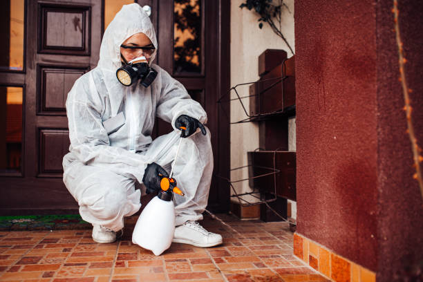 Reliable Termite Control contractor in Tustin, CA by Nex Pest Control